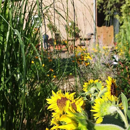 Bed & Breakfast Am Schwatten Berg Heek