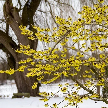 Am Schwatten Berg 3*