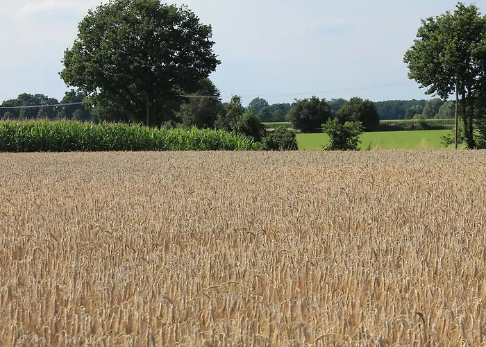 Bed & Breakfast Am Schwatten Berg