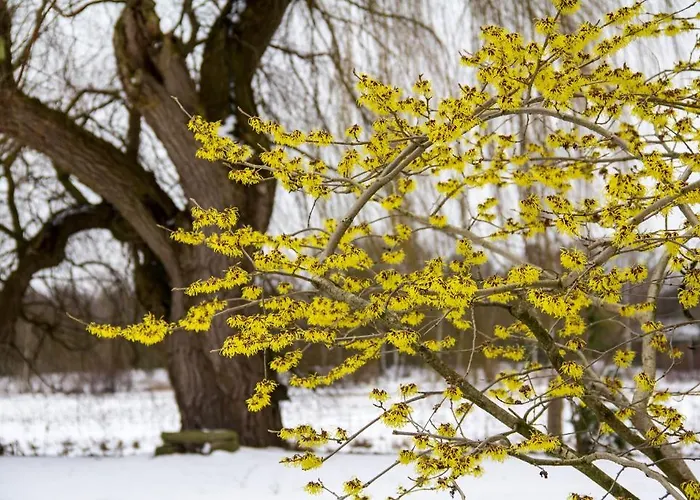 Am Schwatten Berg 3*